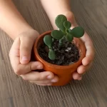 Crear conciencia ambiental en niños
