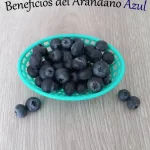 Beneficios del arándano azul para niños