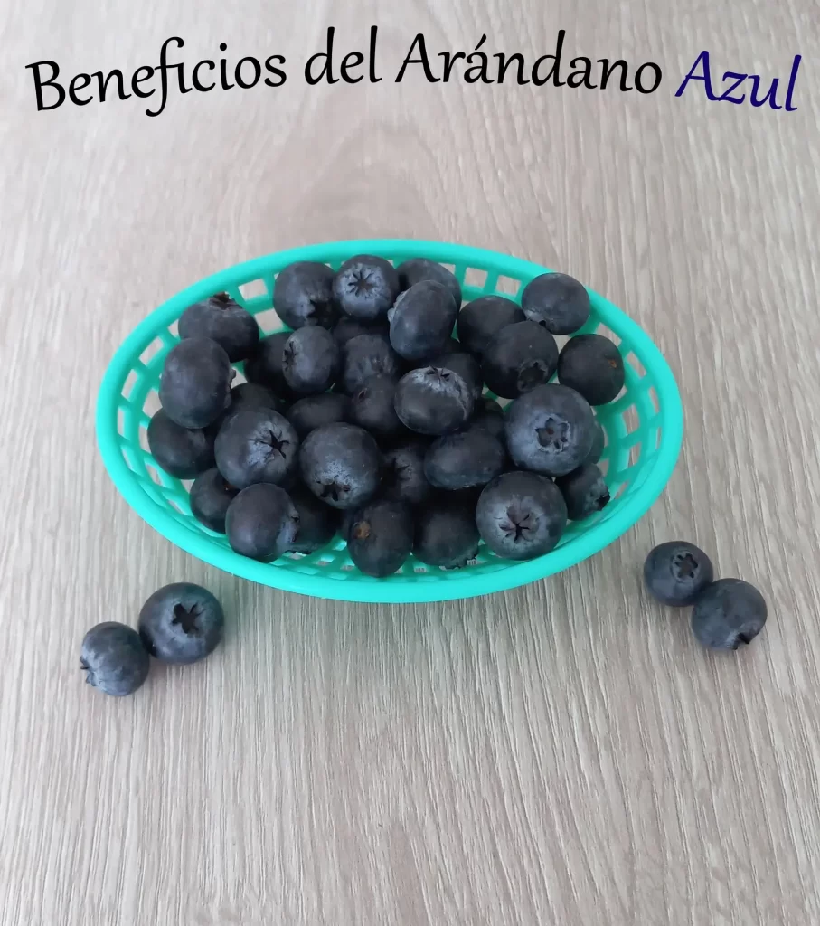 Beneficios del arándano azul para niños