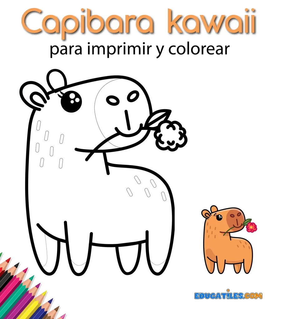 Capibara kawaii