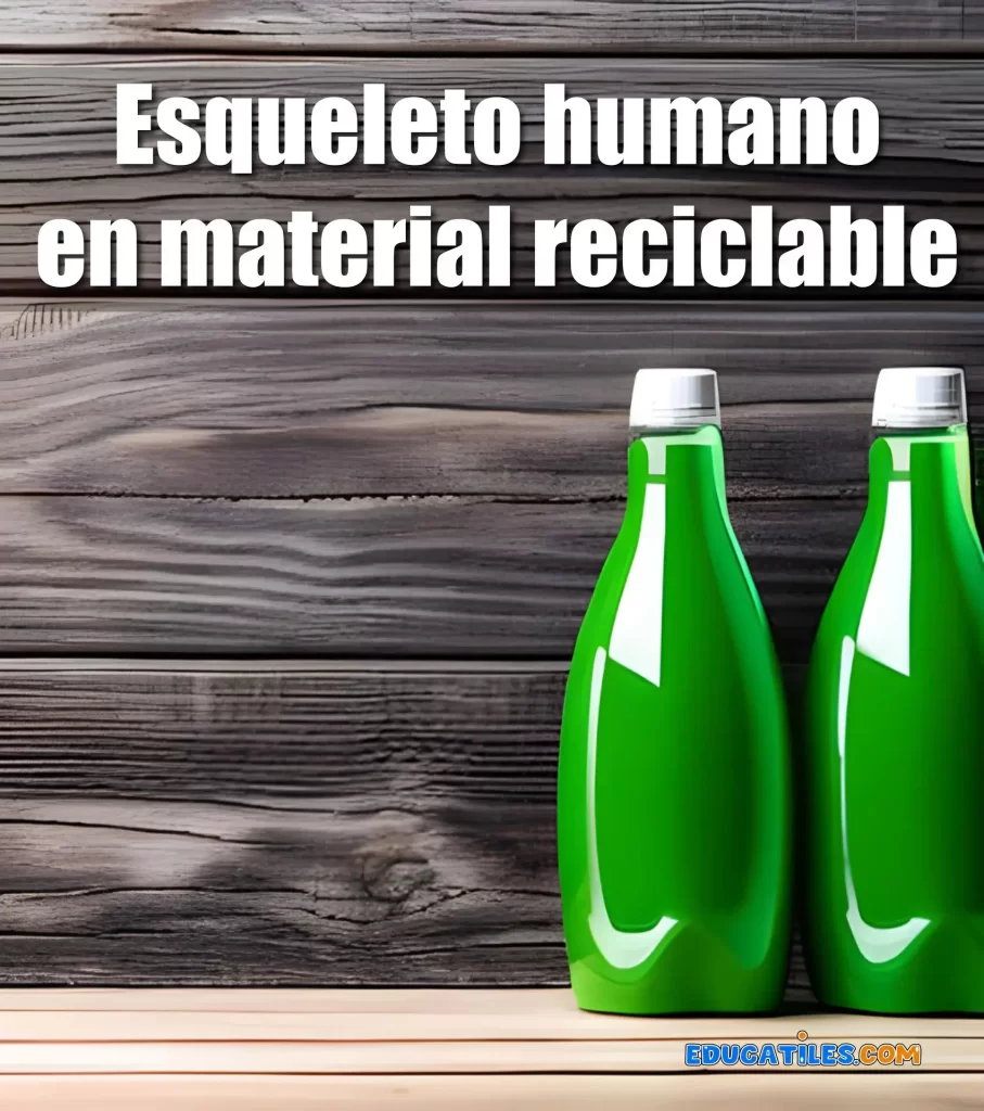 Esqueleto humano en material reciclable