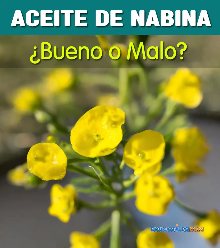 Aceite de Nabina es bueno o malo