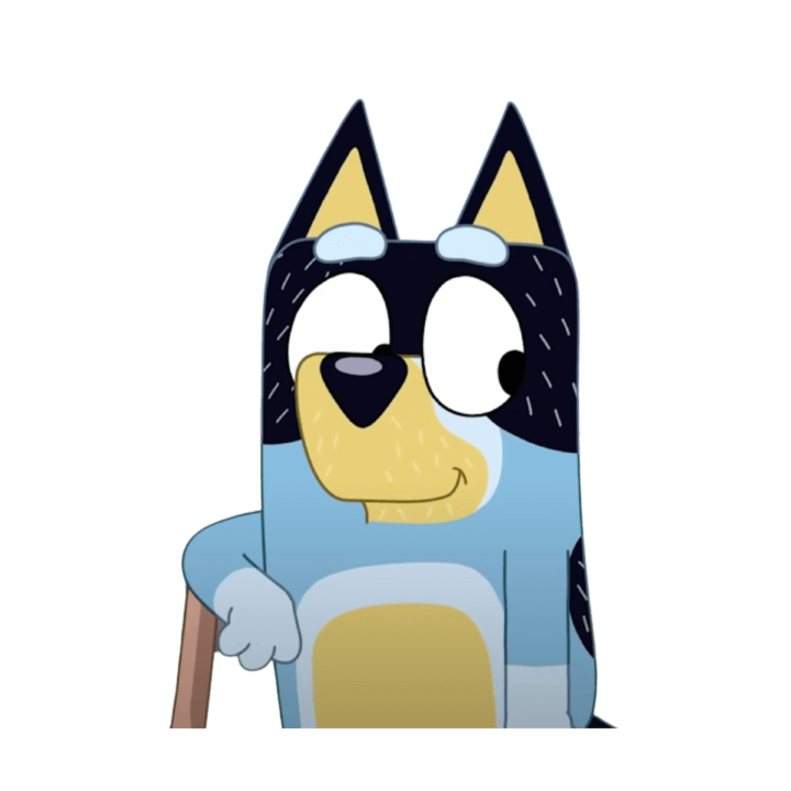 Papá de Bluey y bingo