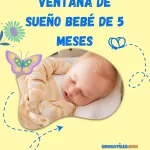 Ventana de sueño bebé 5 meses