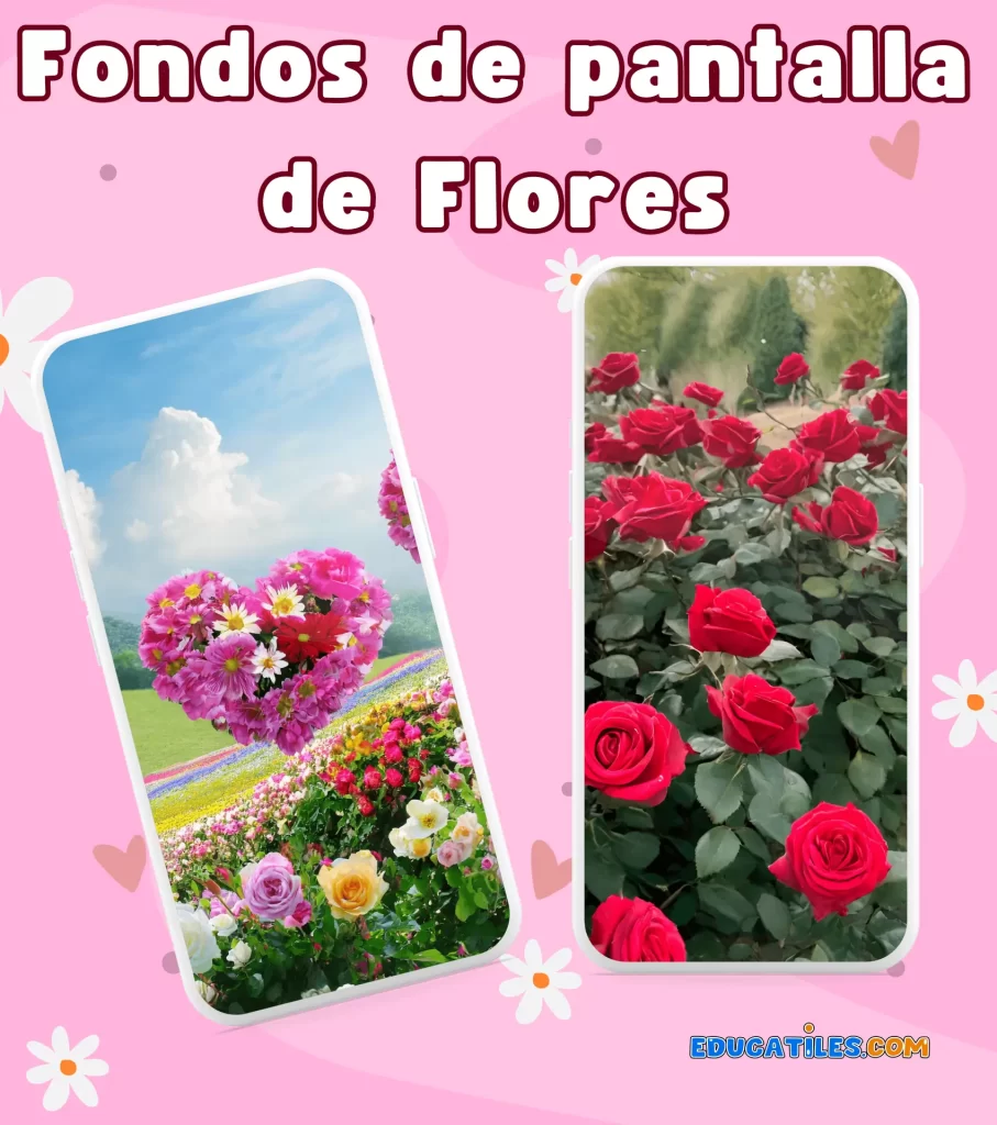 Fondos de pantalla de flores