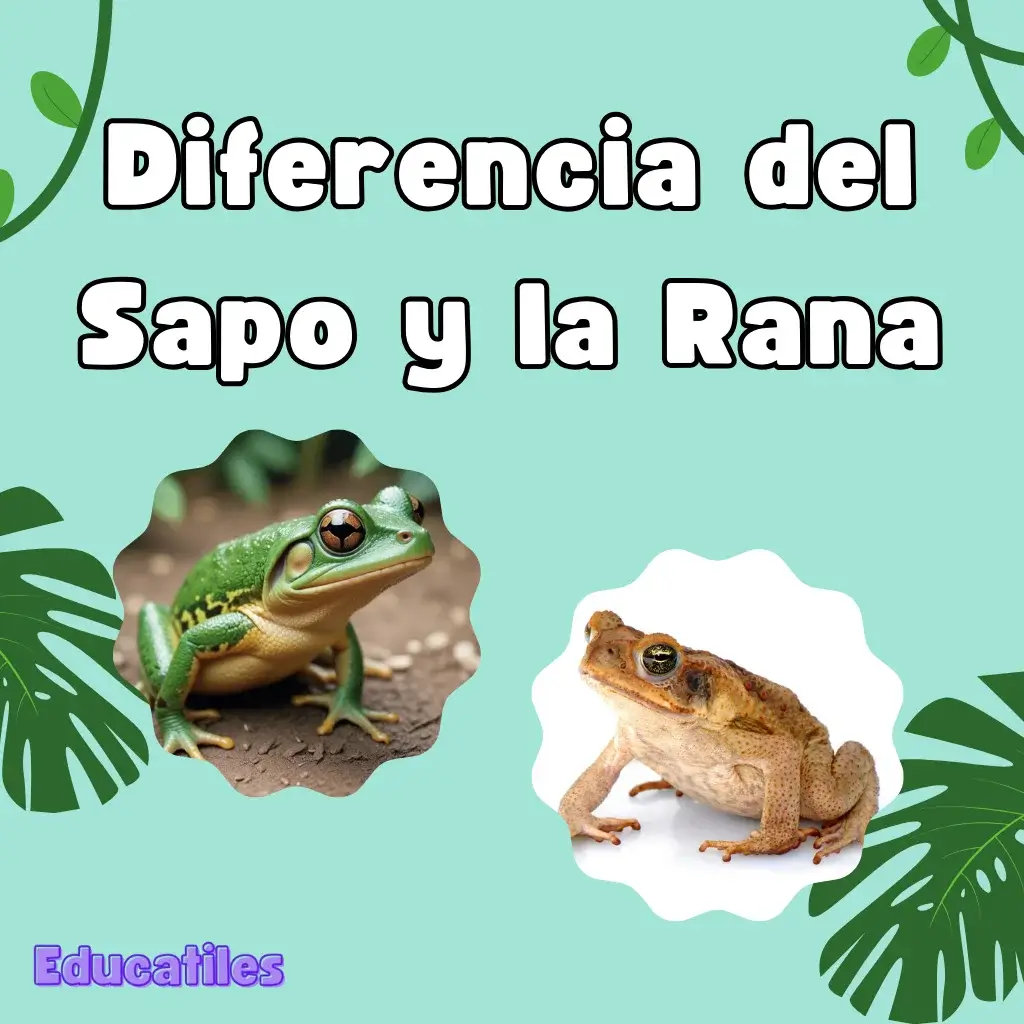 Diferencia del Sapo y la Rana